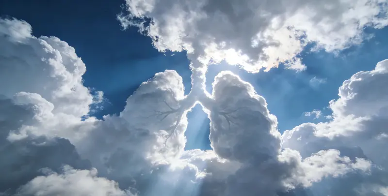 烟台肺癌（EGFR T790M)突变检测图片1