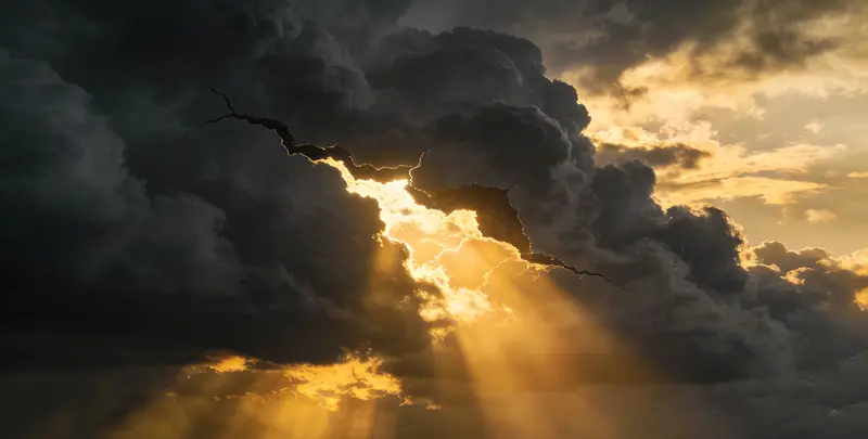 烟台肺癌靶向39基因检测（组织）图片1