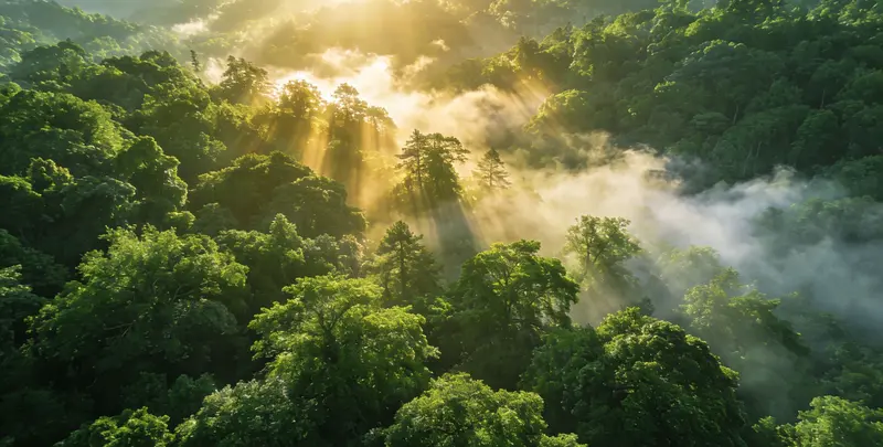 烟台肺癌13基因突变检测（组织）图片1